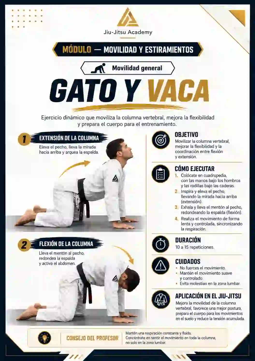 Vista previa del material: ejercicios, calentamientos y planes de clase